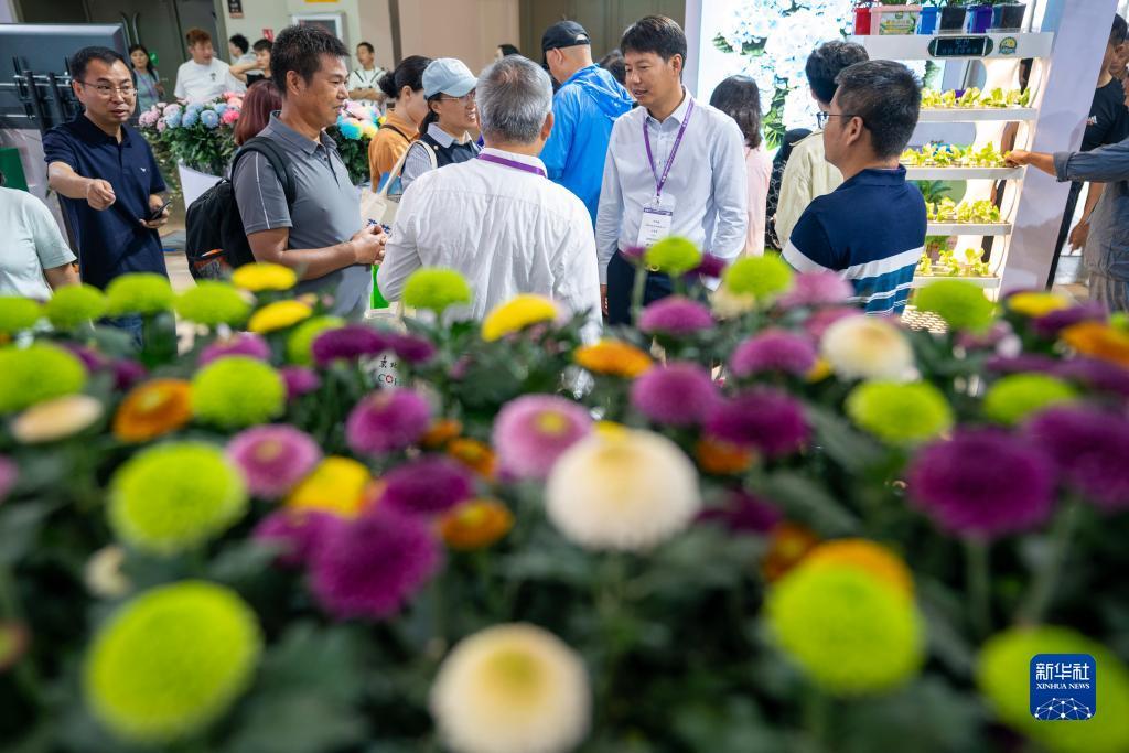答题大满贯下载